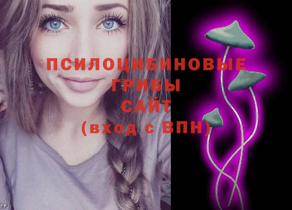 не бодяженный Медвежьегорск