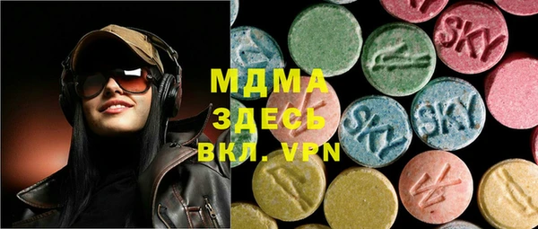 индика Вяземский