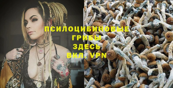 а пвп мука Магадан
