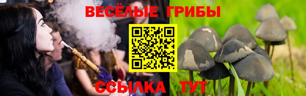 Псилоцибиновые грибы Magic Shrooms  Вход с VPN  Тейково  наркошоп  Псилоцибиновые грибы MAGIC MUSHROOMS 